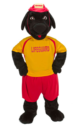 Buddy in new uniform