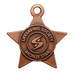 Bronze Star 291