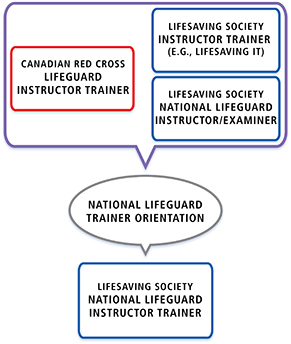 Pathway-LgIT-LSIT-NLIE-NLIT-291